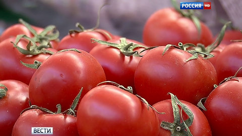 В Россию приехал первый грузовик с турецкими помидорами