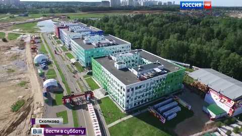 В Сколкове разводят мясных мух и делают еду из личинок