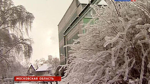 Ледяной дождь погубил 40 тысяч московских деревьев