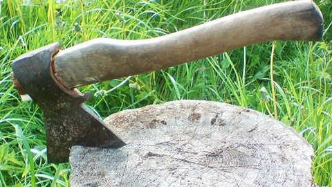 В Московской области пожилой мужчина зарубил сына топором