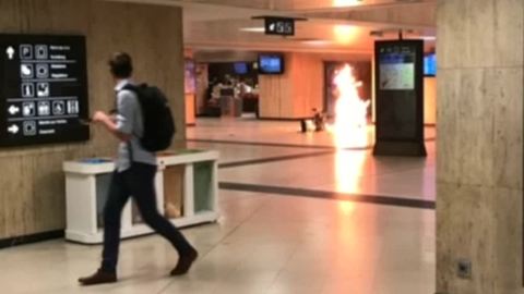 Брюссельский террорист опознан