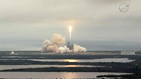 Очередная идея Маска: SpaceX начал сбор денег с потенциальных лунных туристов