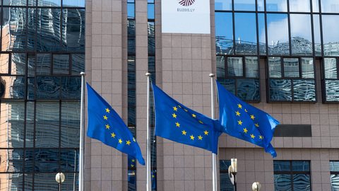 ЕС приостановит упрощенный визовый режим для официальных лиц Белоруссии