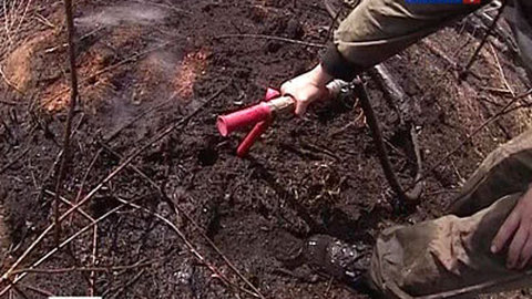 Дым от чернобыльского пожара дошел до Брянской области