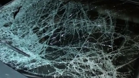 В Алтайском крае в дорожной аварии погибли три человека, в их числе ребенок