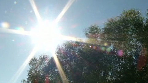 Медовое лето: россияне получат компенсацию за весну