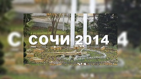 Волонтеров для Олимпиады-2014 будут готовить по всей России