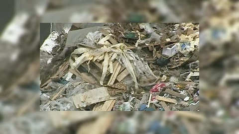 На Украине выбросили в мусор юбилейные медали Победы