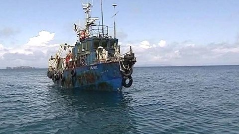 В Приморье охоту за акулами-людоедами ведут семь судов