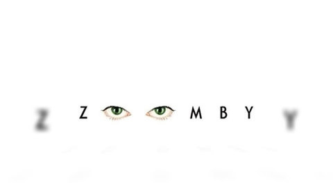 Вести.net: миссия видеопортала Zoomby.ru – борьба с пиратством