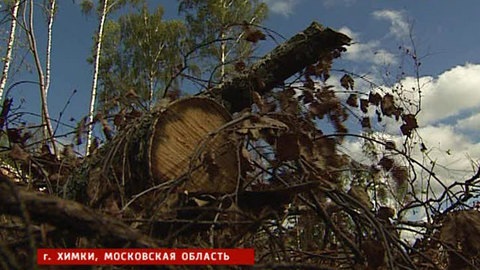 Неизвестные сожгли технику в Химкинском лесу и сломали рабочему руку