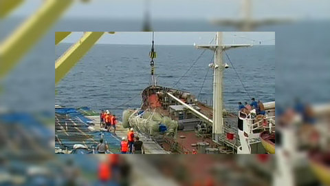 Захватившего Arctic Sea эстонца будет искать Интерпол