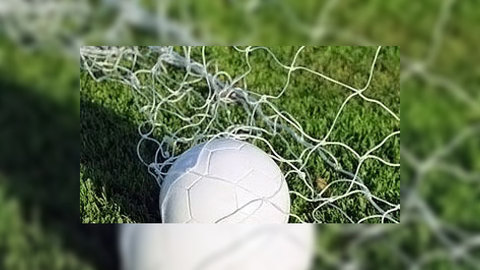 Сборная ЮАР лишится своего популярного прозвища