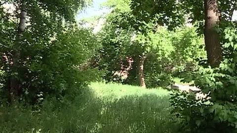 Пропавшего юношу нашли в лесу под Красноярском в тяжелом состоянии