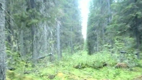 На Алтае прекращены поиски фрагментов "Прогресса"