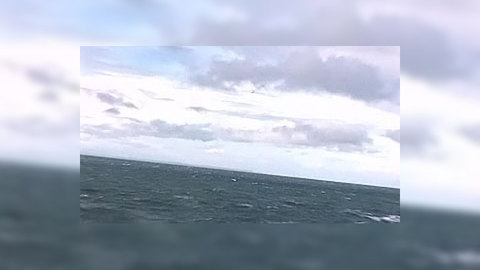 Погибшим в море Лаптевых буксиром командовал капитан без диплома