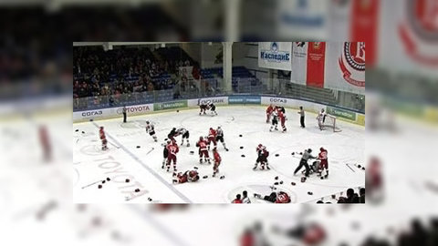 КХЛ наказала хоккейные клубы "Авангард" и "Витязь"