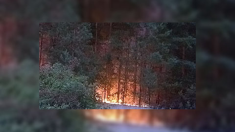 На Украине ежедневно вспыхивают десятки пожаров