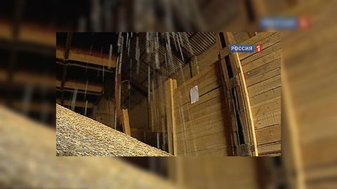Урожай зерна в Германии может упасть на 12%
