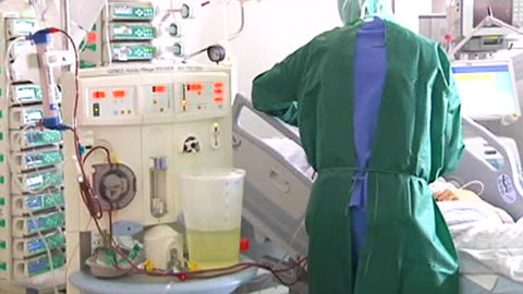 Во Франции зафиксирован новый случай заражения E.coli
