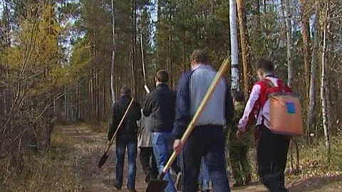 Экспертиза подтвердила факт умышленных поджогов в Братске
