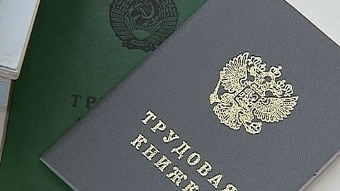 Что делать, если отменят трудовые книжки