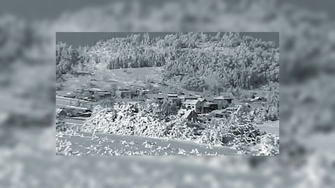 Для южного региона холода стали стихийным бедствием