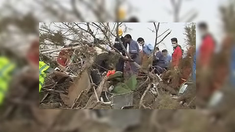 Что произошло с А330 в небе над Триполи, расскажет ребёнок