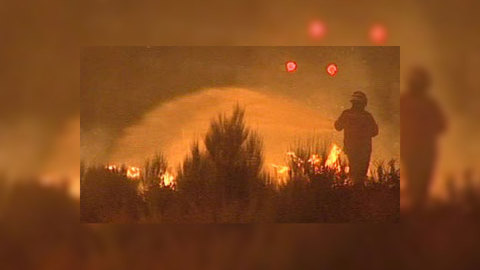 Природные пожары в Колорадо: под контролем 1 очаг из 10