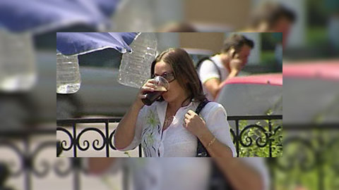 Спасение от жары: чем лучше всего утолять жажду