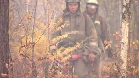 Власти Братска заплатят 100 тысяч за сведения о поджигателях