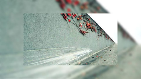 Генпрокурор Женевы готов добиваться экстрадиции гонщиков-олигархов