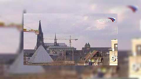 Под руинами архива в Кельне спасатели нашли живого кота
