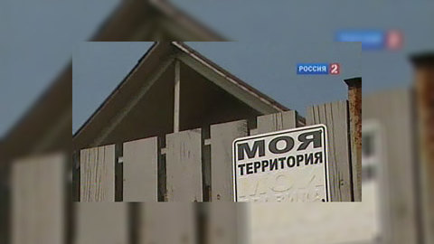Просившему у Путина рынду блогеру грозит тюремный срок