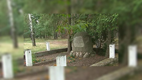 От лесных пожаров немцев спасают фотокамеры