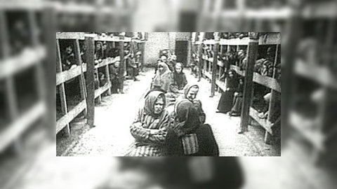 Узник Освенцима свидетельствует о зверствах нацистов