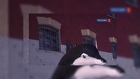 Евсюков присоединился к маньякам и людоедам из "Чёрного дельфина"