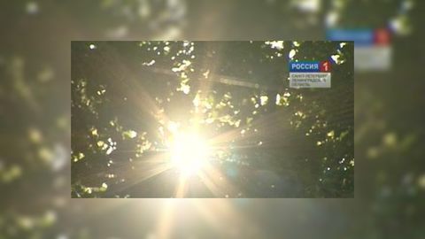 Синоптики обещают две недели рекордной жары