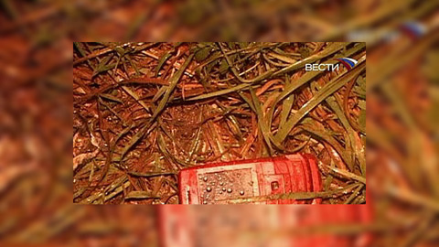 Родственники жертв авиакатастрофы в Перми требуют компенсации