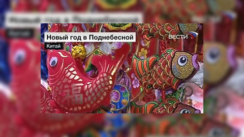 Новый Год 2009 Москва Новый Год 2009 Москва
