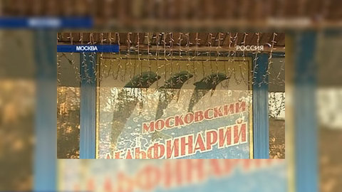 В Москве прошла акция в защиту дельфинов