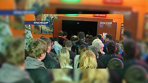 "Тарас Бульба" привел в кинотеатры и стар, и млад