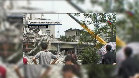 Власти Мьянмы призвали граждан есть лягушек