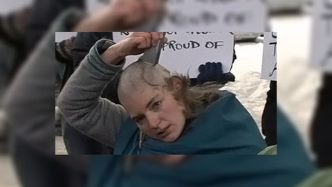 "Зеленые" в знак протеста бреются наголо