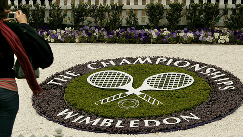 Договорняки в "Большом шлеме"? Матчи Уимблдона и US Open под сомнением
