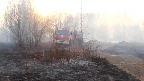В Нижегородской области с 25 декабря введен особый противопожарный режим