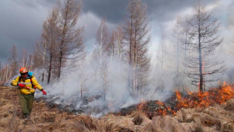 В регионах России прогнозируется высокий класс пожарной опасности