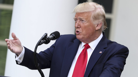 Трамп хочет встретиться с Путиным до выборов