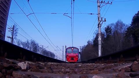 Юный зацепер полтора дня пролежал в лесу после неудачной поездки на электричке
