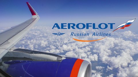 "Аэрофлот" ввел новые правила перевозки животных